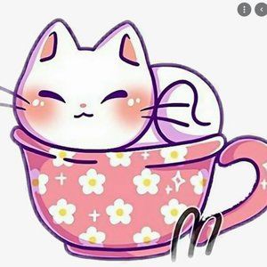 Meet your Posher, Vana